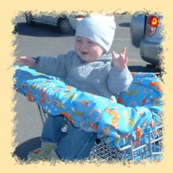 Boy using Shopping Cart Cover